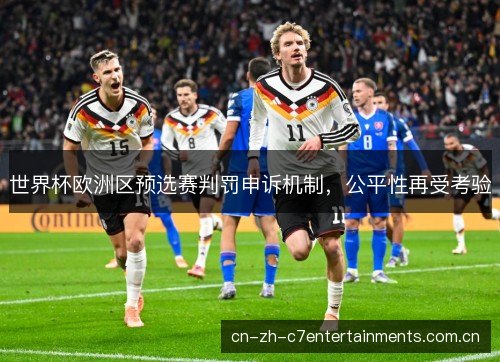 世界杯欧洲区预选赛判罚申诉机制，公平性再受考验