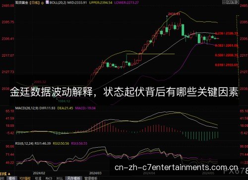 金廷数据波动解释，状态起伏背后有哪些关键因素